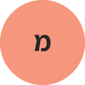 מיטל